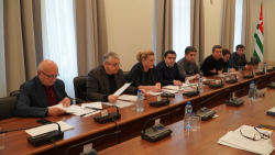 ДЕПУТАТЫ РАССМОТРЕЛИ РЯД ЗАКОНОПРОЕКТОВ