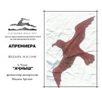 ПРЕМЬЕРА СПЕКТАКЛЯ &laquo;ЧАЙКА&raquo; В АБГОСДРАМТЕАТРЕ