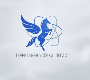 В СУХУМЕ ПРОШЛА ПРЕЗЕНТАЦИЯ ПРОЕКТА &laquo;ТЕРРИТОРИЯ УСПЕХА: