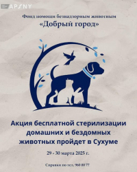 29 И 30 МАРТА ПРОЙДЕТ АКЦИЯ ПО БЕСПЛАТНОЙ СТЕРИЛИЗАЦИИ СОБАК И КОШЕК