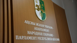 ЛАША АШУБА ВСТРЕТИЛСЯ С ДЕЛЕГАЦИЕЙ ГОСУДАРСТВЕННОЙ ДУМЫ