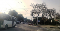 31 ДЕКАБРЯ ПРОЕЗД НА МУНИЦИПАЛЬНОМ ОБЩЕСТВЕННОМ ТРАНСПОРТЕ БУДЕТ БЕСПЛАТНЫМ