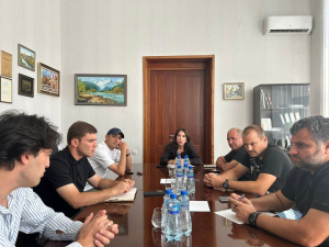 В СУХУМЕ ПРЕДПРИНИМАЮТСЯ МЕРЫ ПО ЗАЩИТЕ РАСТЕНИЙ ОТ АМЕРИКАНСКОЙ БЕЛОЙ БАБОЧКИ