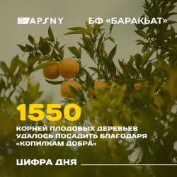 УЧАСТНИКИ ПРОГРАММЫ &laquo;ФРУКТОВЫЙ САД&raquo; ПОЛУЧИЛИ 4000 КОРНЕЙ ПЛОДОВЫХ ДЕРЕВЬЕВ