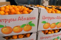 ПРОГРАММА ЛЬГОТНОГО КРЕДИТОВАНИЯ УЖЕ ДАЕТ ОЩУТИМЫЙ ЭФФЕКТ