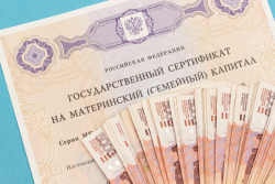 ЛЮДИ, ПОЛУЧАВШИЕ ДЕТСКИЕ ПОСОБИЯ И МАТЕРИНСКИЙ КАПИТАЛ В РФ, НЕ СПЕШАТ ПОДАВАТЬ ПИСЬМЕННЫЕ ЗАЯВЛЕНИЯ