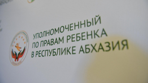 ДЕТСКИЙ ОМБУДСМЕН АБХАЗИИ ПРИЗВАЛА К ОТВЕТСТВЕННОСТИ ПРИ РАСПРОСТРАНЕНИИ ИНФОРМАЦИИ О НЕСОВЕРШЕННОЛЕТНИХ