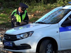 ЗА ПРОШЕДШУЮ НЕДЕЛЮ ВЫЯВЛЕНО 1479 НАРУШЕНИЙ ПДД