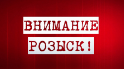 АНАС КИШМАРИЯ: ПРАВООХРАНИТЕЛИ ЗАДЕЙСТВОВАЛИ ВСЕ ИМЕЮЩИЕСЯ СИЛЫ ДЛЯ ПОИСКА ГРАЖДАНКИ БАХТАДЗЕ