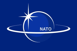 ВОПРОС ПРИНЯТИЯ ГРУЗИИ В НАТО НЕ ИМЕЕТ ПРОСТОГО И БЫСТРОГО РЕШЕНИЯ — МЕЖДУНАРОДНЫЕ ЭКСПЕРТЫ