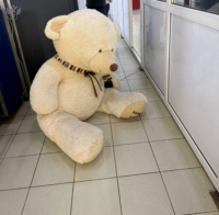 ТАМОЖЕННИКИ В АДЛЕРЕ ОБНАРУЖИЛИ 250 ПАЧЕК СИГАРЕТ В ПЛЮШЕВОМ МЕДВЕДЕ И ТАЙНИКАХ АВТОМОБИЛЯ