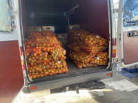 В РОССИЮ ИЗ АБХАЗИИ В СУТКИ ВВОЗИТСЯ ДО 1 ТЫСЯЧИ ТОНН МАНДАРИНОВ